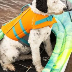 Dog Traction Pad For Kayaks -Boating Series Shop PS1964 00 LS2